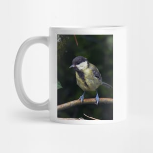 LE PANASONIC FZ 200 PAR OKAIO CRÉATION Mug